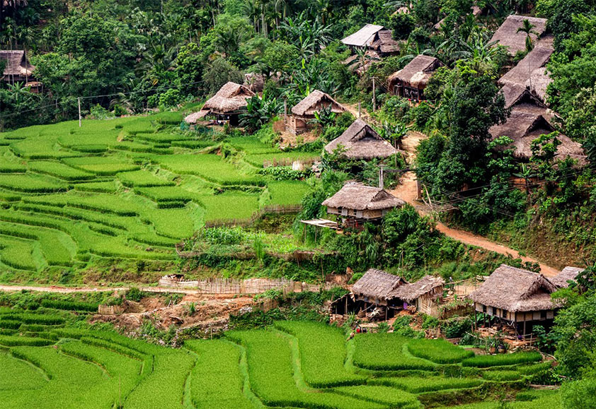 Puluong Retreat: astonishing resort hidden in Thanh Hoa’s forest