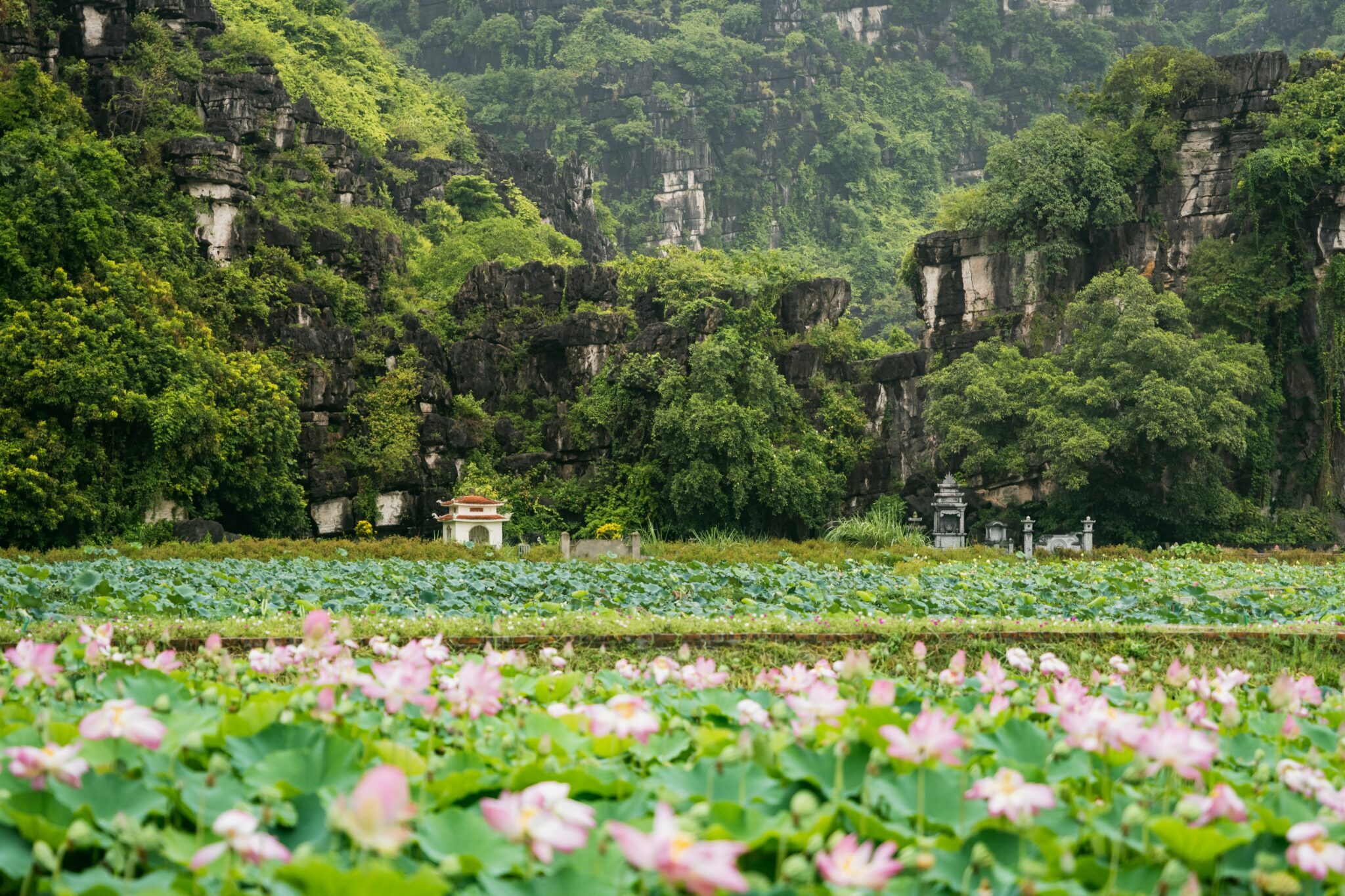 ​Ninh Binh – Hoa Lu ancient capital