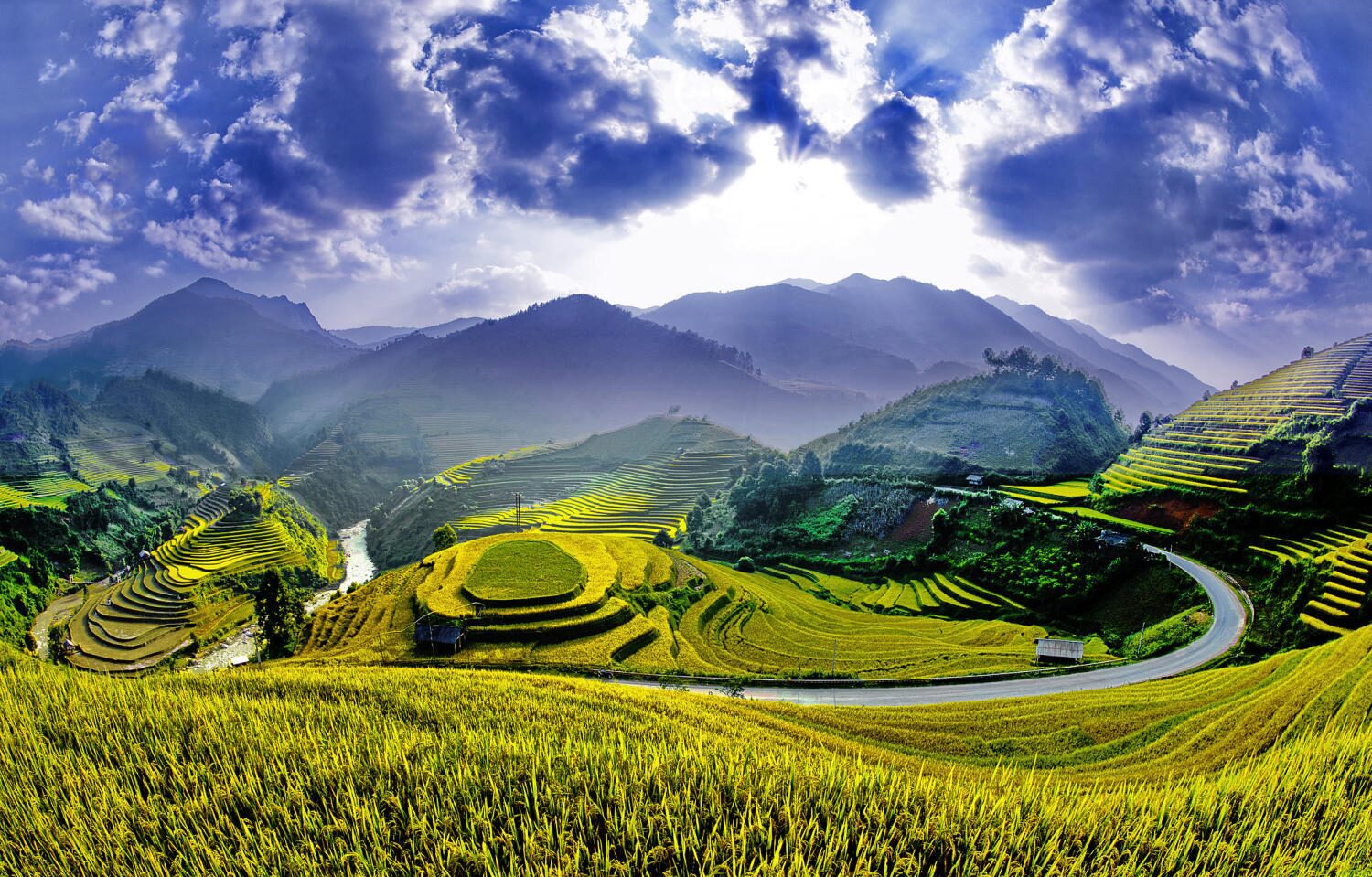 Vietnam Terraced Rice Paddies On Top Surreal Landscapes