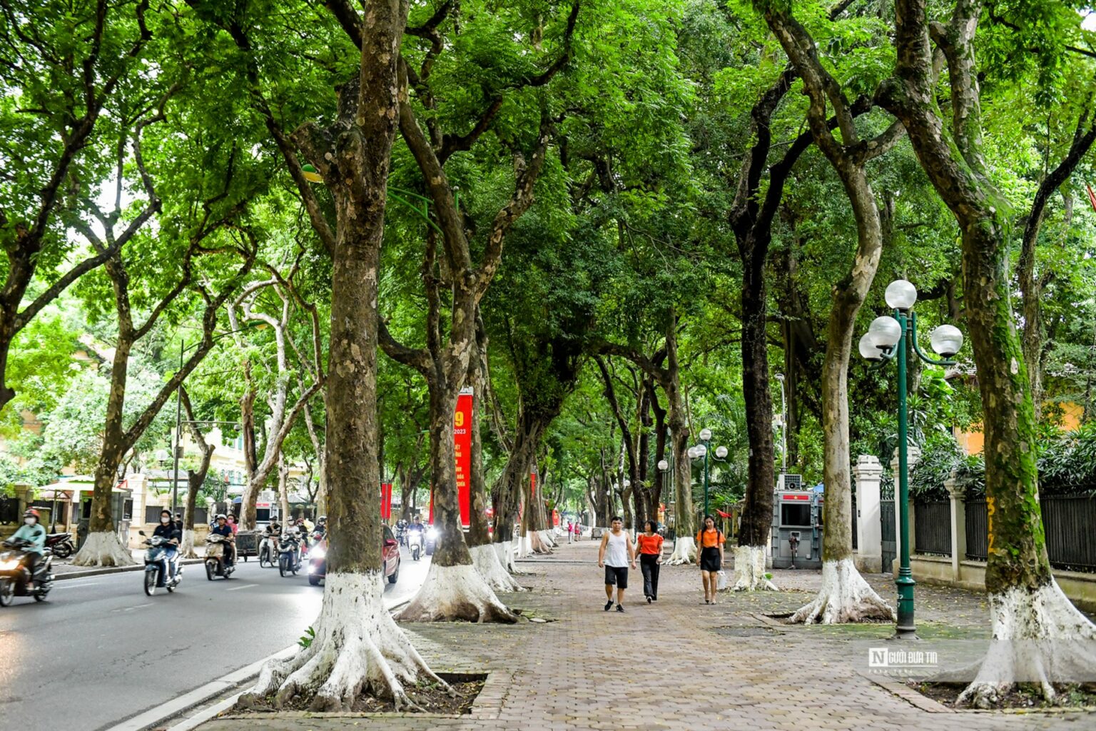 The 3 most beautiful streets in Hanoi to enjoy