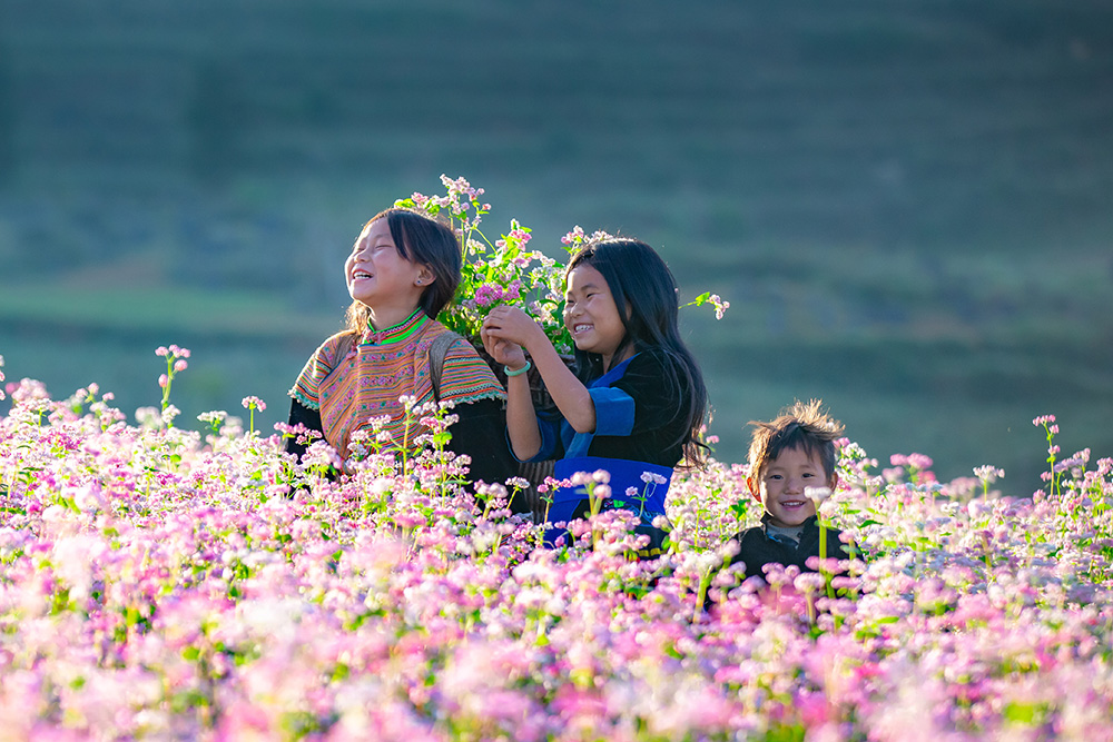 HA GIANG – DONG VAN KARST PLASTEAU 3D2N (Hotel 3 star)